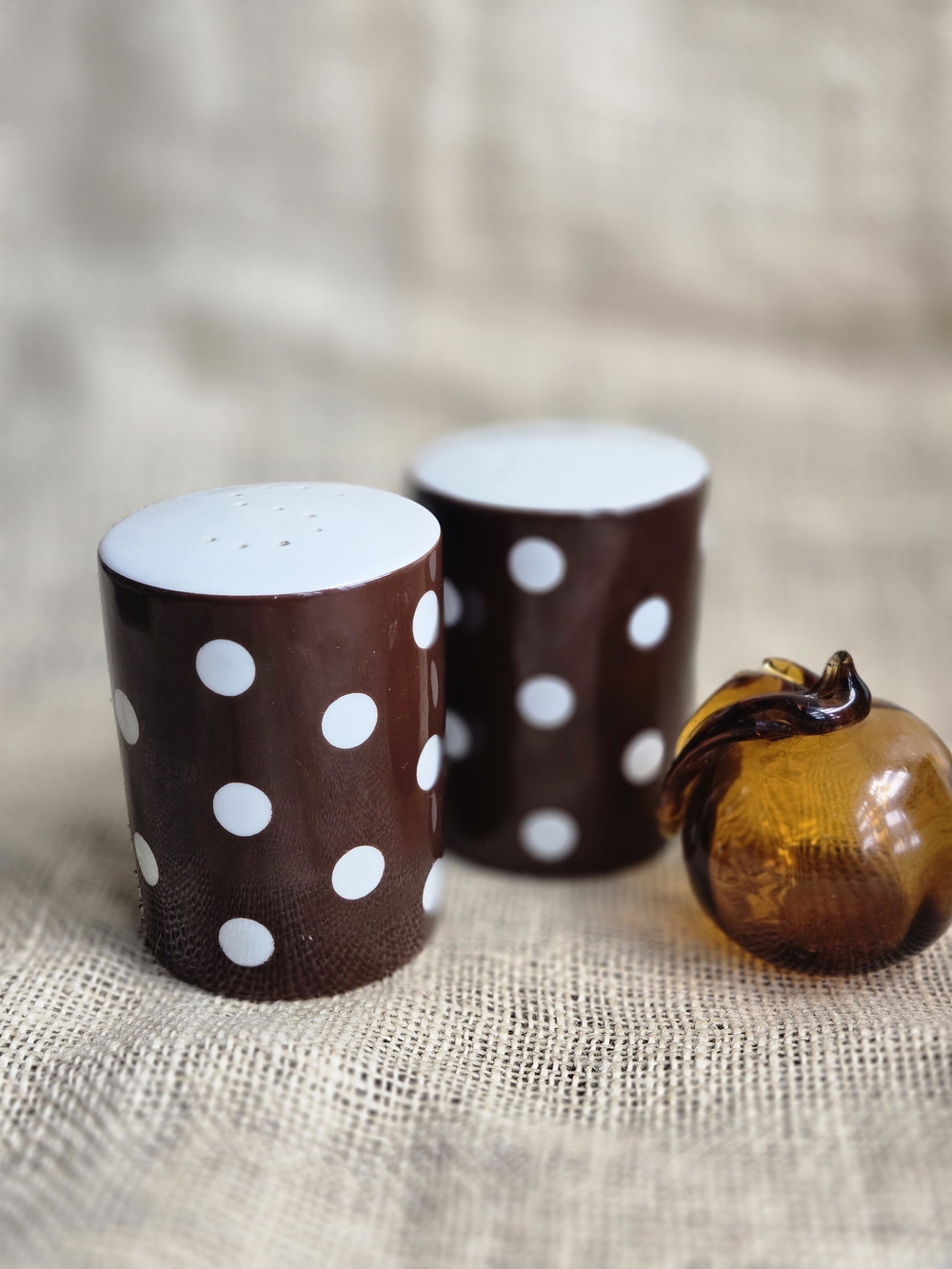 Fitz and Floyd Brown Polka Dot Salt & Pepper Shakers with White Dots